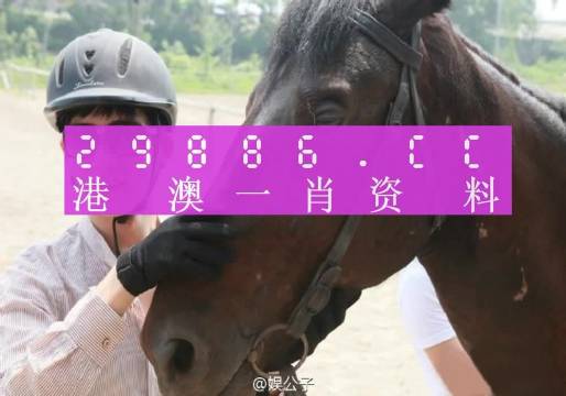 澳门今晚必中一肖一码准确9995，全面解答解释落实_kcs23.08.43