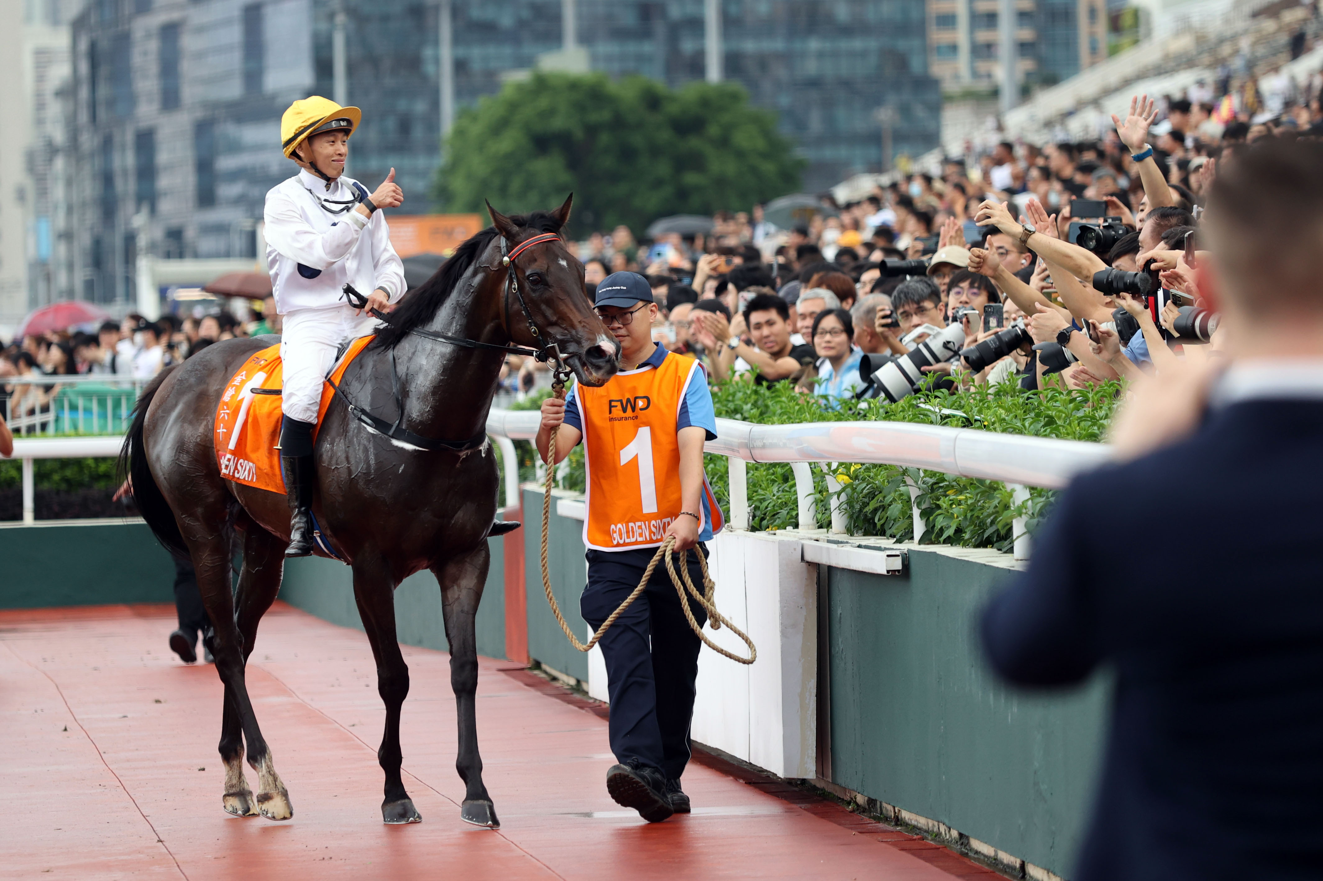 2024香港赛马全年免费资料，前沿解答解释落实_kh68.78.91