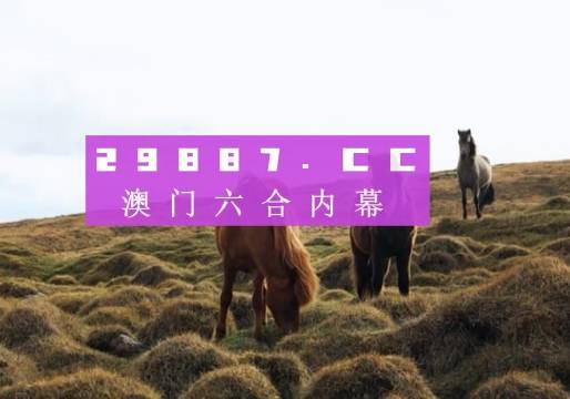 新闻网 第63页