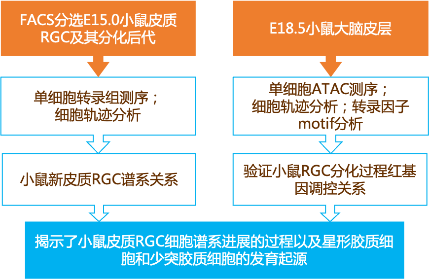 新奥门最新最快资料，构建解答解释落实_c008.90.83