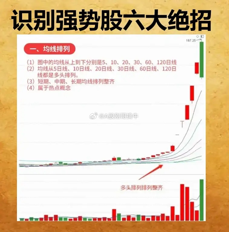 揭秘提升一肖一码100%，深度解答解释落实_vet75.91.76