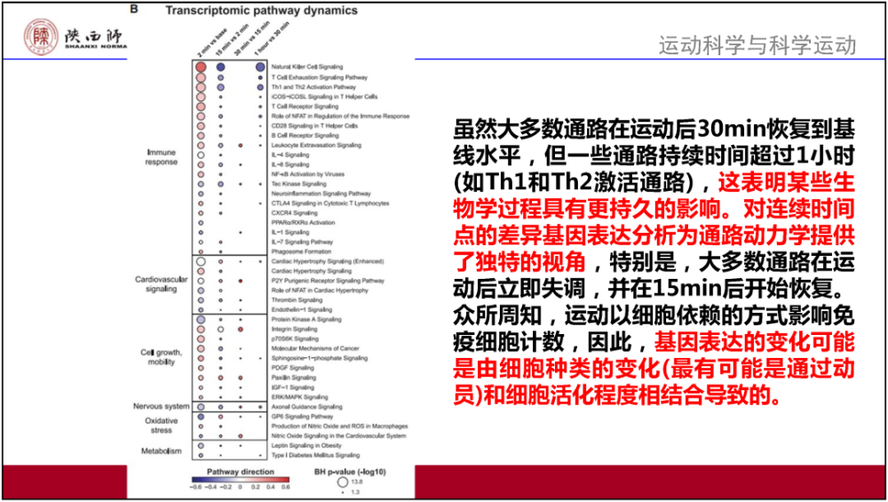 澳门2024年资料大全，前沿解答解释落实_tya35.88.95