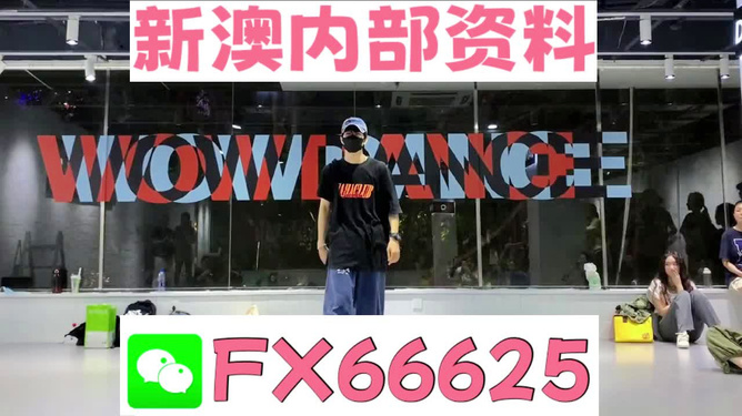 新澳门精准资料大全管家婆料，精准解答解释落实_lt599.03.72