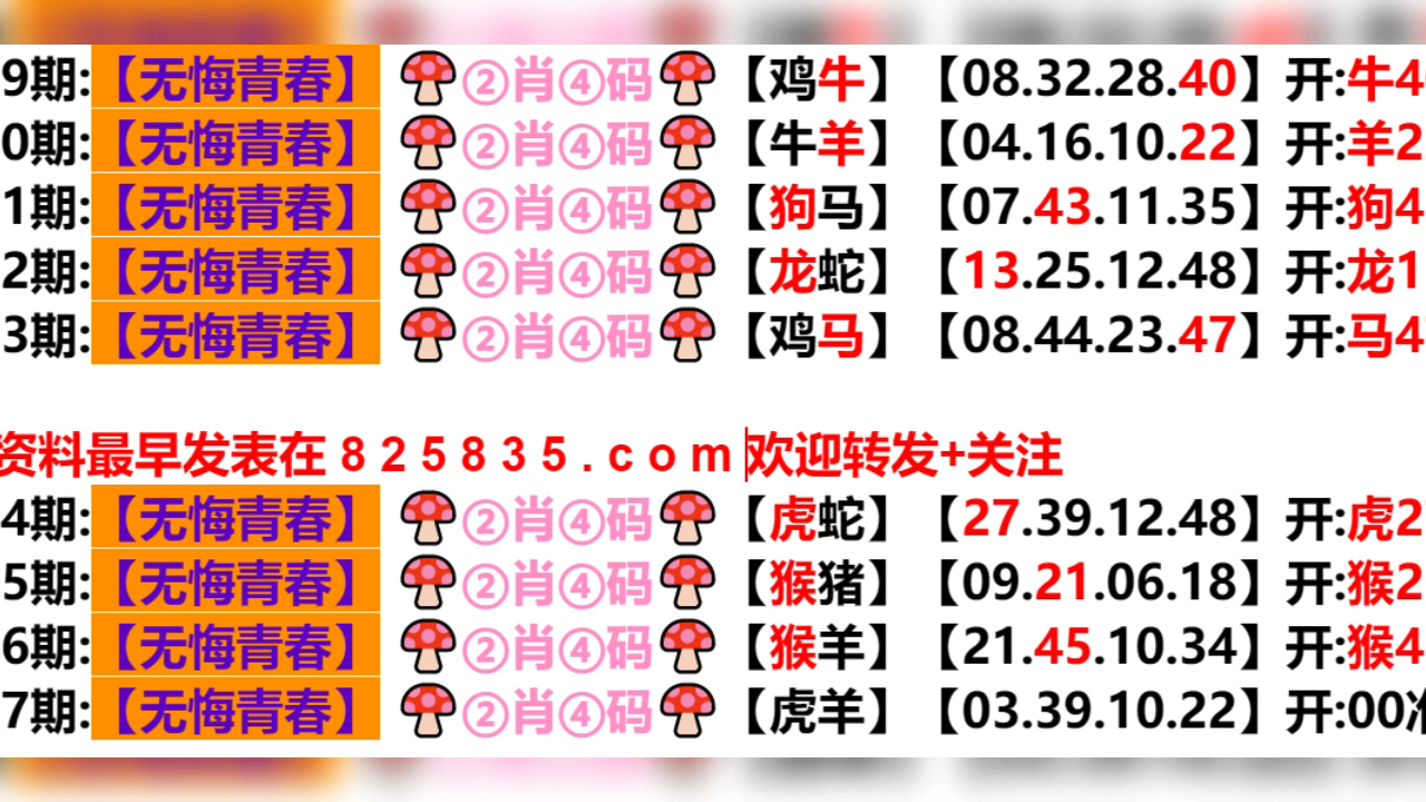 2024新澳门天天开好彩，定量解答解释落实_87g46.43.90